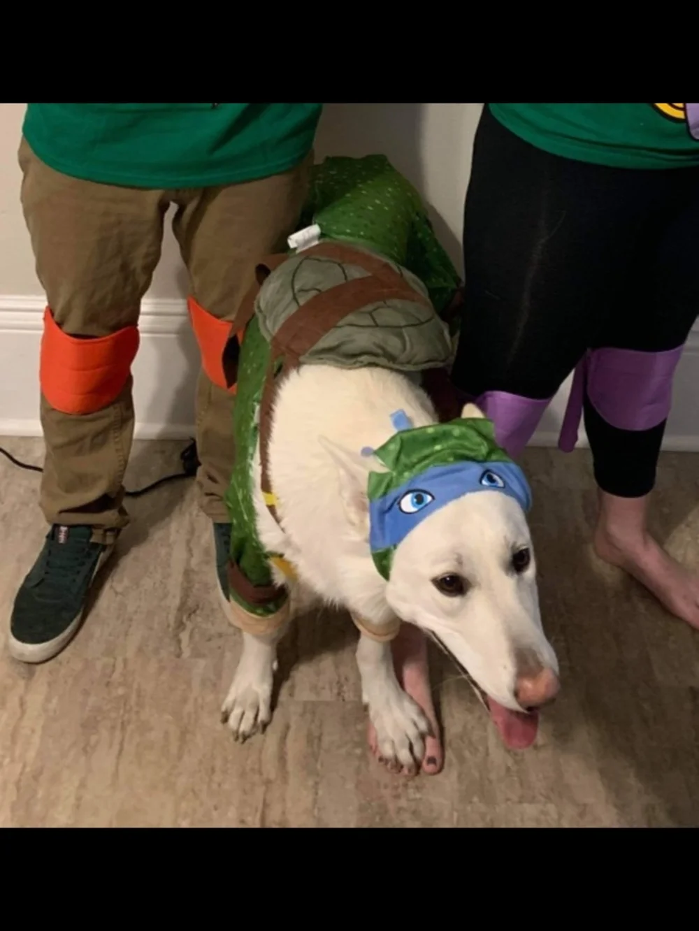 Nickelodeon size extra